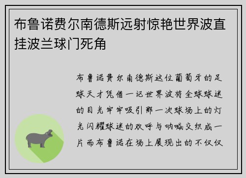 布鲁诺费尔南德斯远射惊艳世界波直挂波兰球门死角